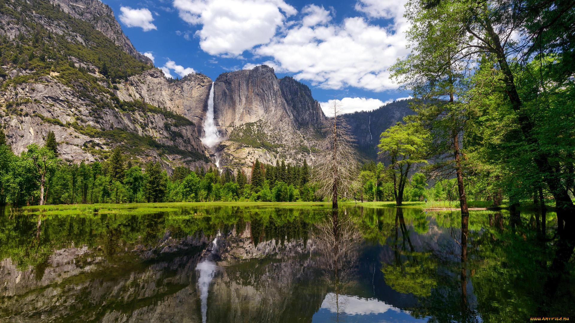 yosemite national park, usa, , , yosemite, national, park